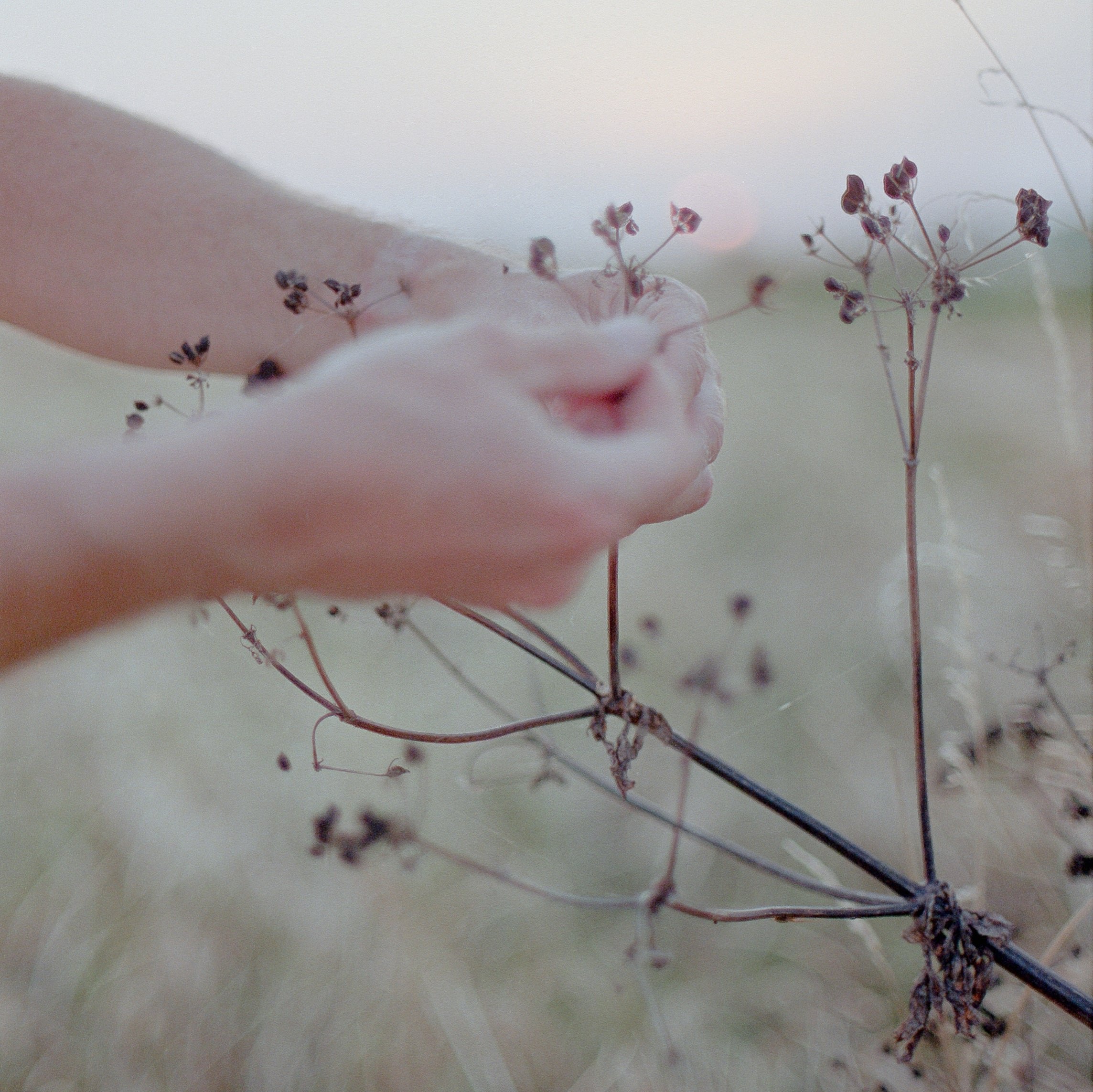 Des cosmétiques naturels certifiés cosmos organic, un choix plus sûr pour votre peau