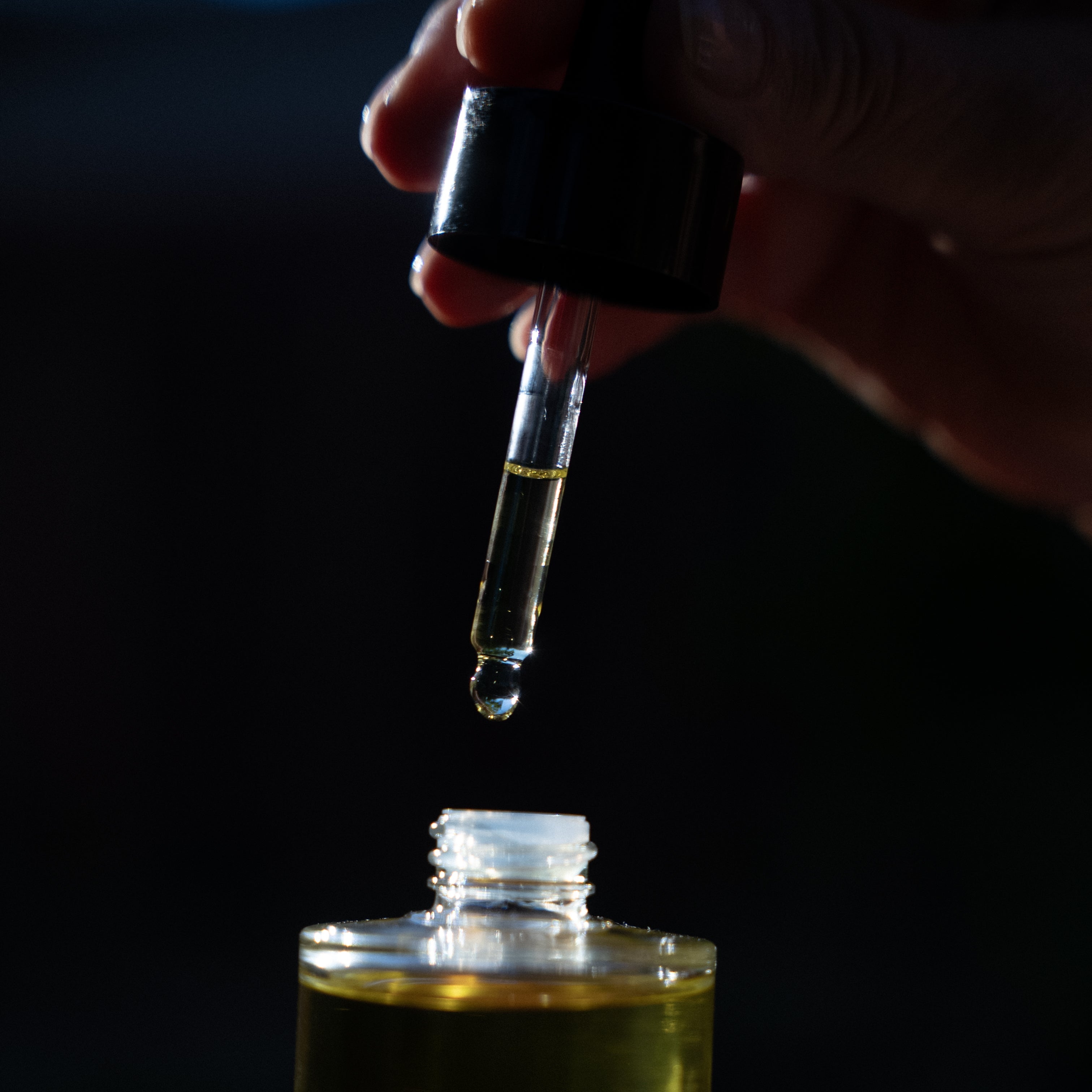 SANCTUARY - Organic Multi-Purpose Nourishing Oil