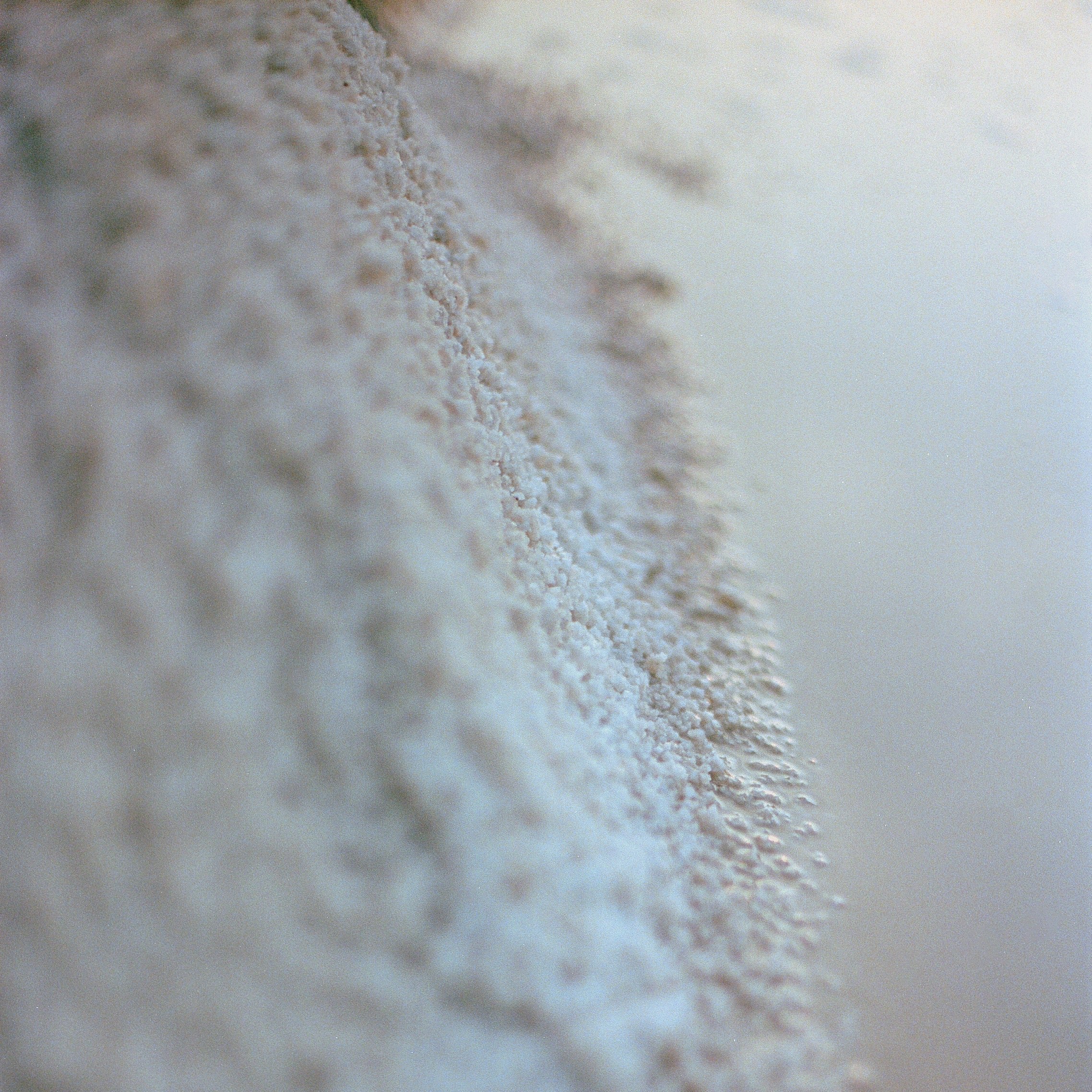 gommage-corps-certifié-biologique