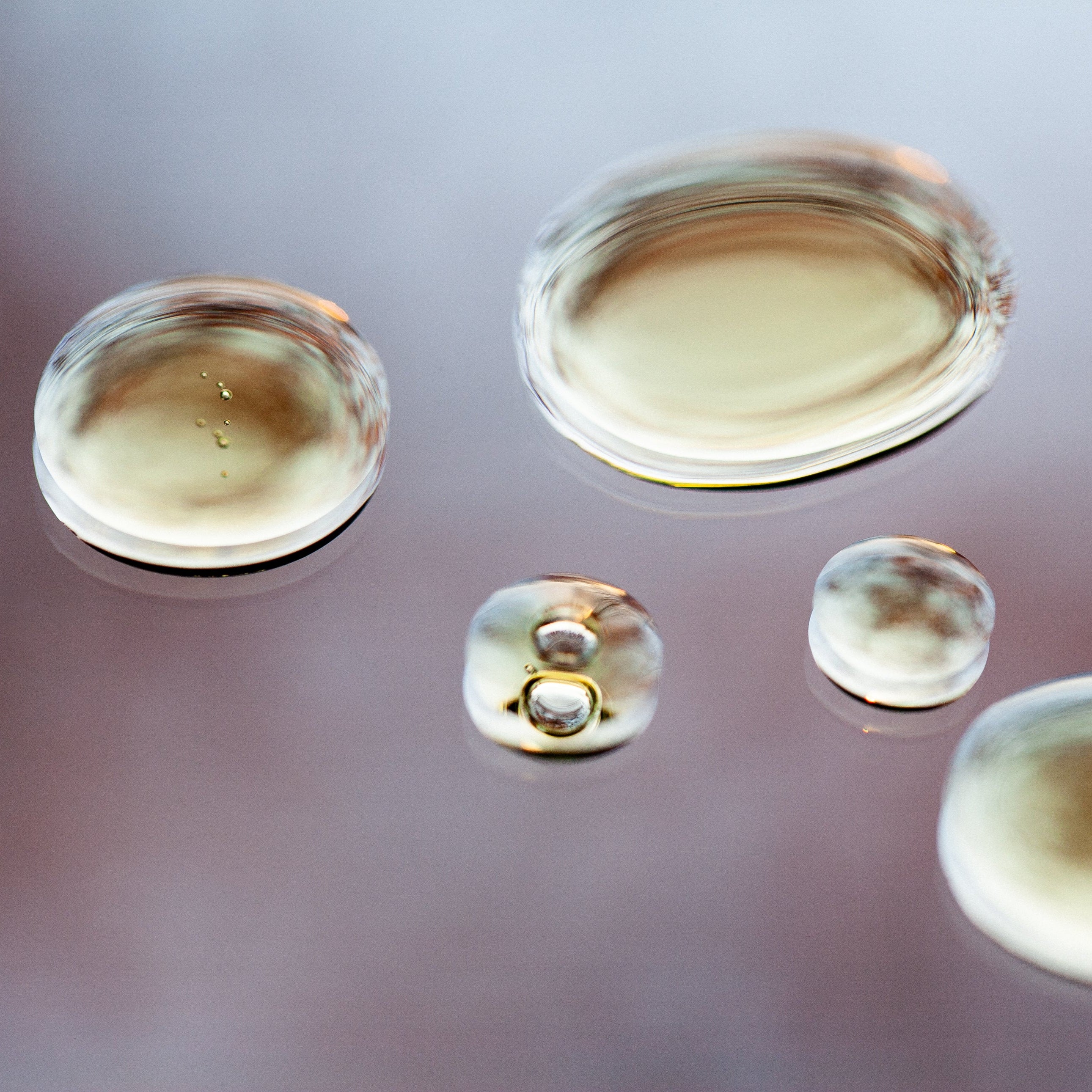 decouvrez-nos-serums