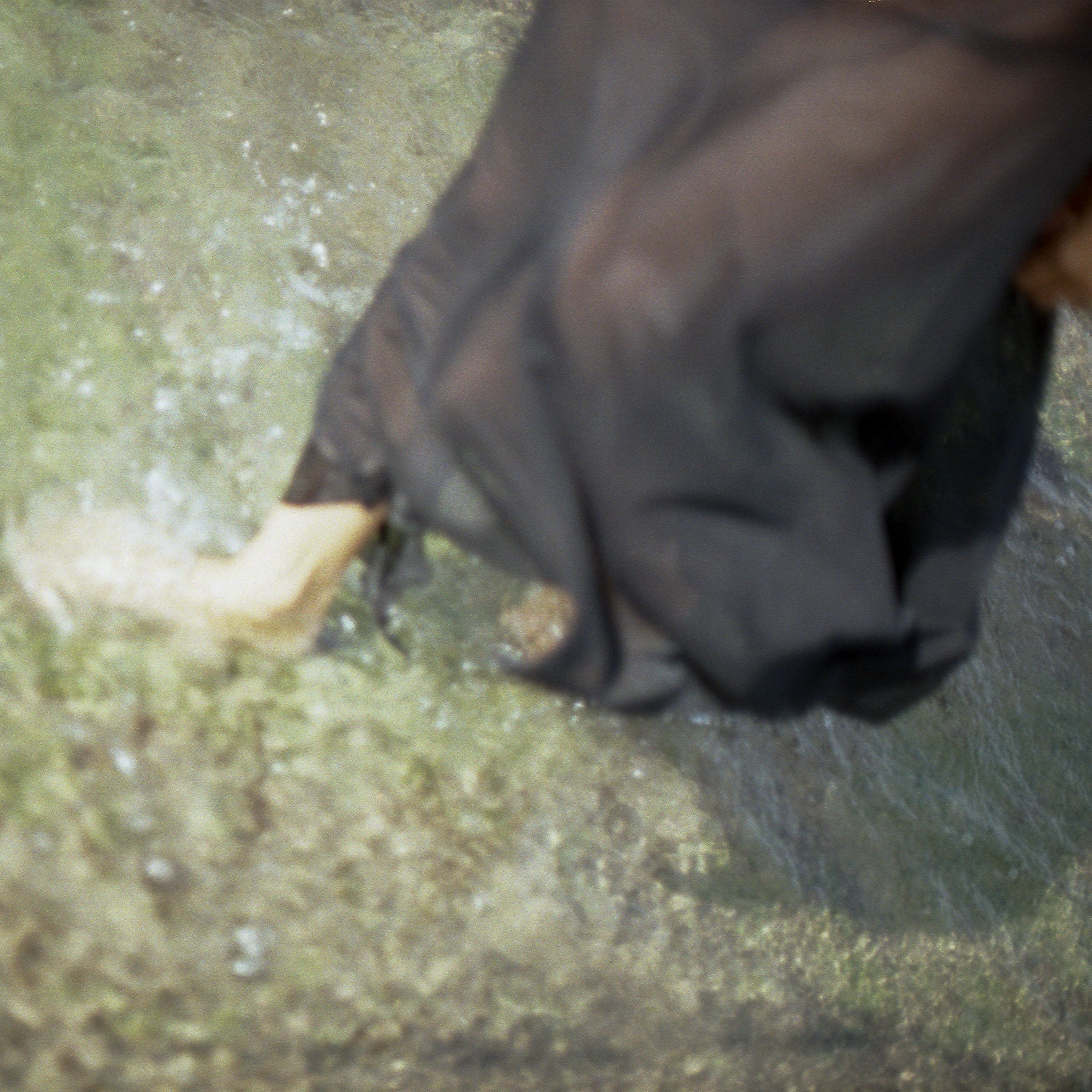 La création et l'histoire de la marque