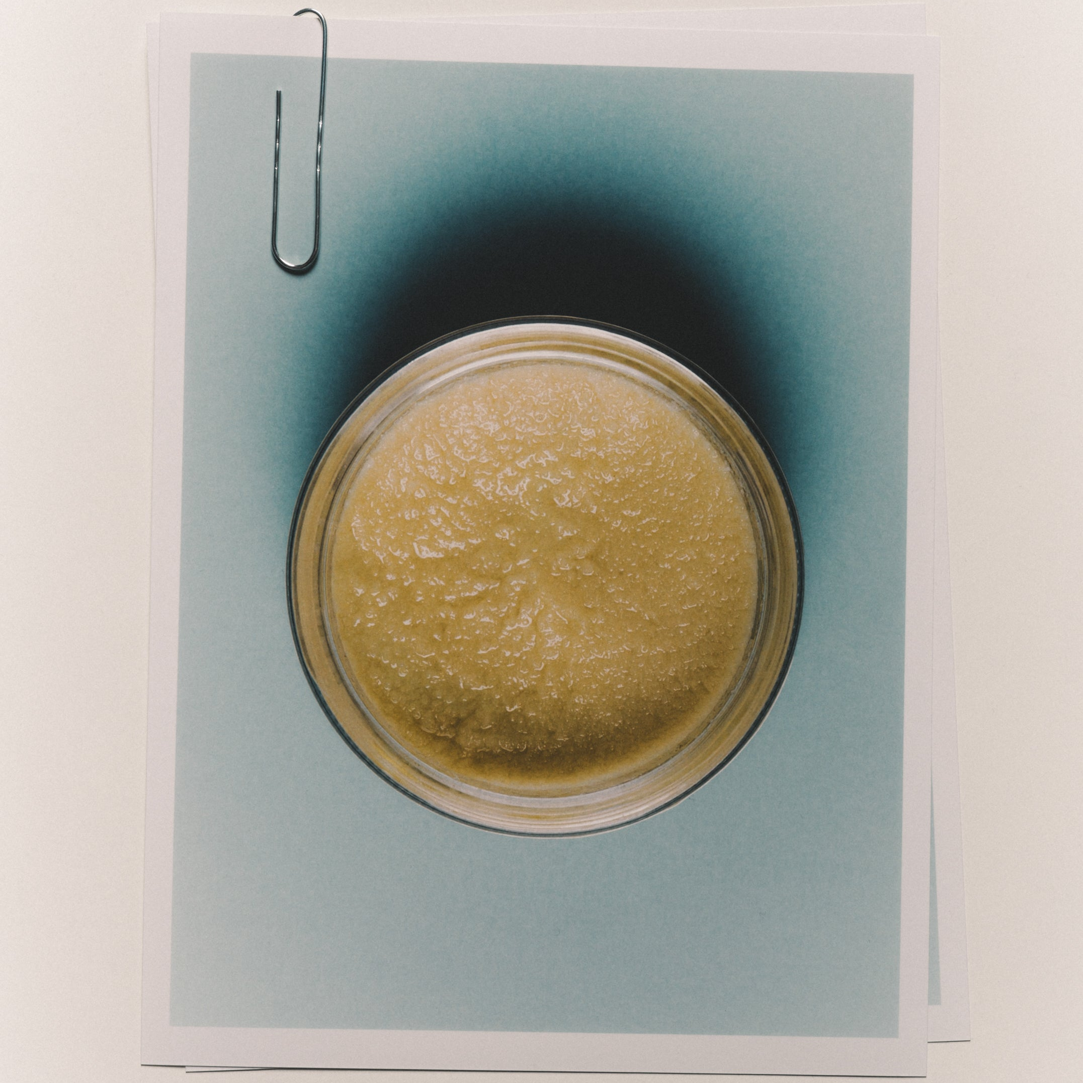 CHROMATIC - Gommage corps & cuir chevelu certifié bio