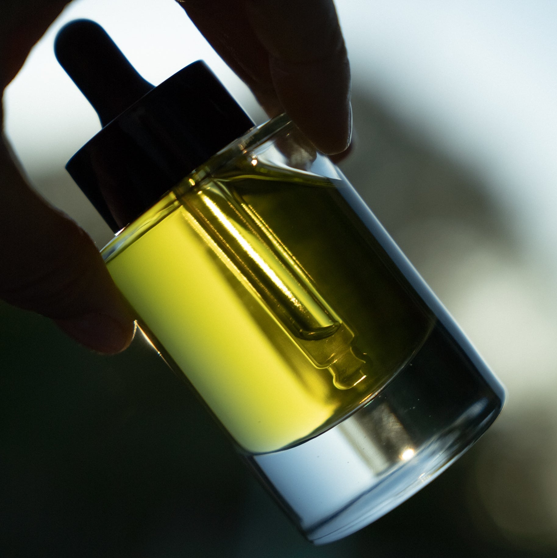 melange-botanique-antioxdant